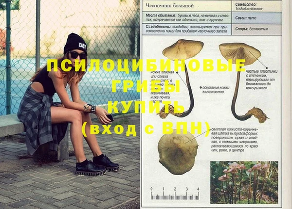 гидропоника Беломорск
